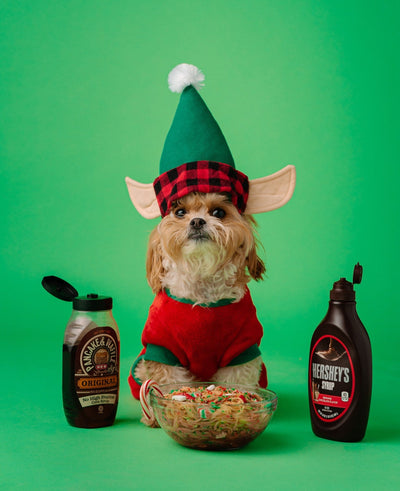 6 Holiday Treats Your Pets Will Love